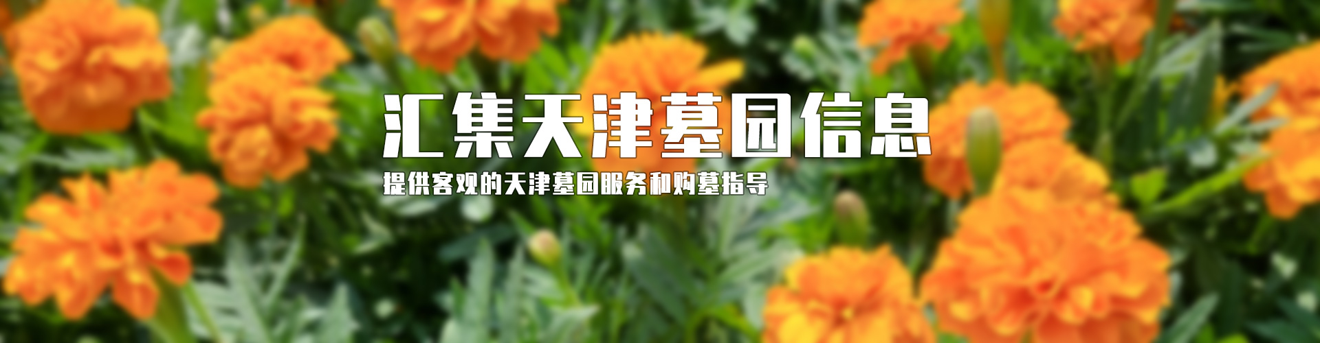 匯集天津墓園信息