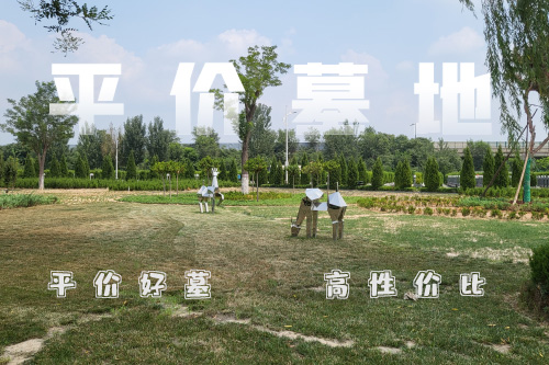 平價(jià)墓地