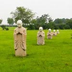 塘沽夢境園