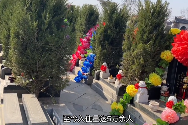 買天津市墓地就上天津墓園網(wǎng)