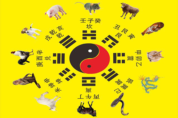 和天津墓園一起來學(xué)習(xí)點中國傳統(tǒng)文化知識：天干和地支