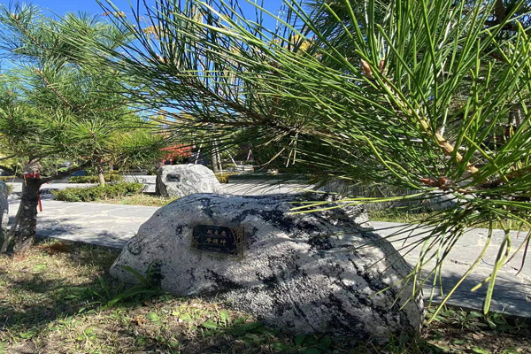 天津墓園怎么選公墓地,？