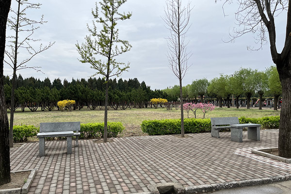 天津公墓的分類