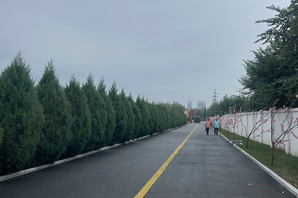 天津墓地有哪些殯葬管理的方針