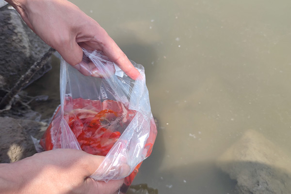 天津公墓探索墓園生命文化的傳承和發(fā)展之路,，努力為市民提供更加優(yōu)質(zhì)的陵園墓地服務(wù)!