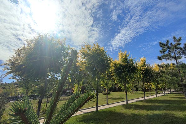 ?天津公墓陵園墓地行業(yè)弘揚(yáng)孝親敬老傳統(tǒng)美德，營(yíng)造養(yǎng)老孝老敬老良好社會(huì)氛圍！
