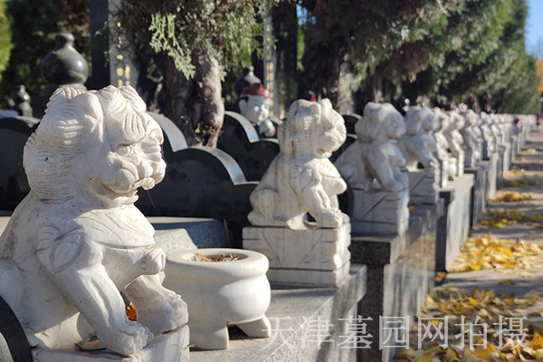 天津公墓殯葬社會(huì)工作的特征