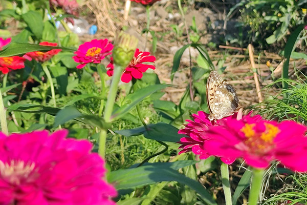 天津陵園：將生命記號(hào)做美,，墓地陵園生命記載做厚